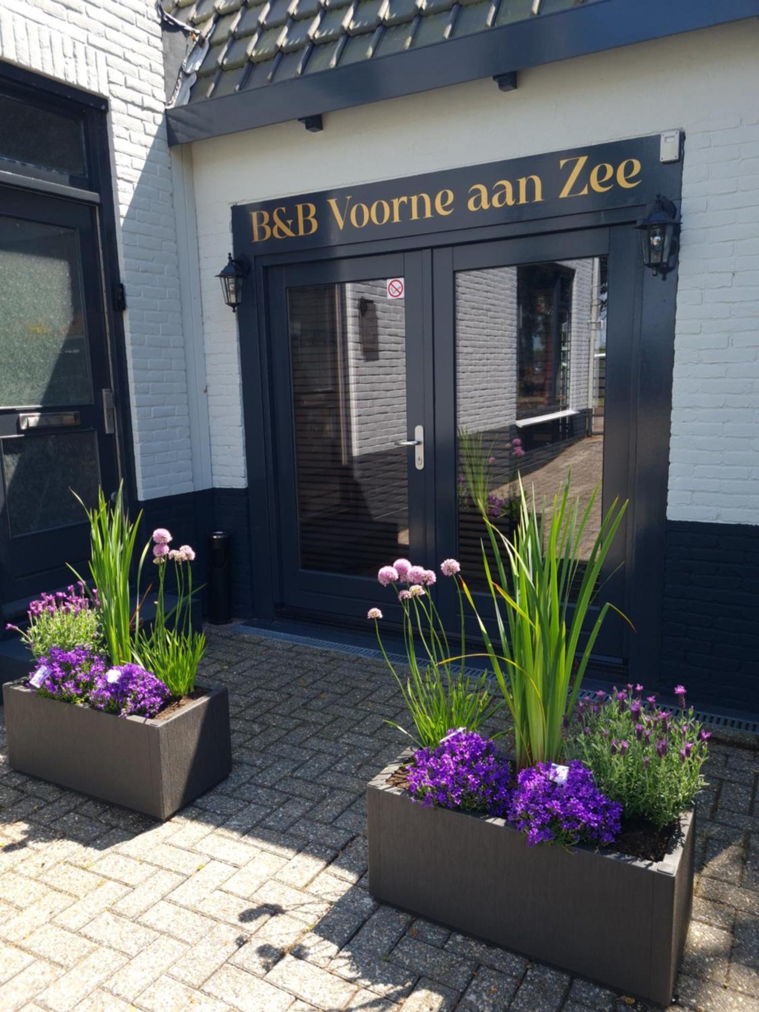 B&B Voorne Aan Zee 洛坎杰 外观 照片